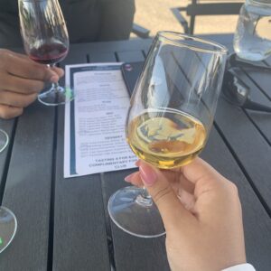 Alena's wine wonders of the world tasting