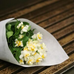 Jazmine flowers in a bucnch