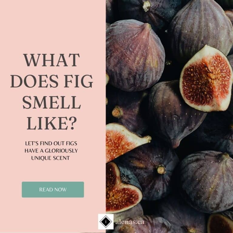 what does Fig Smell like? let's find out blog post