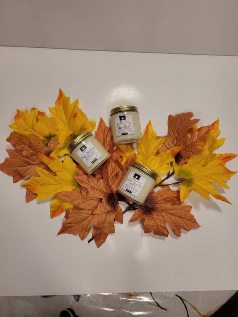 Trio of Boo Berry Fritter Pearfectly yours and Pump up the Chair